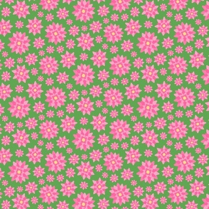 Pink lotus flowers (water lily) on a green background