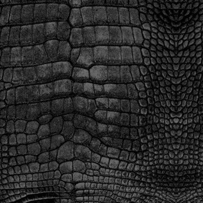 Black Dragon Crocodile Aligator Reptile Scales