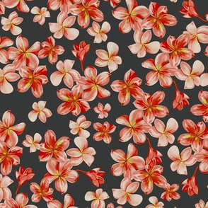 Plumeria _Blossoms_grey