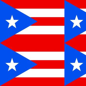 Medium Puerto Rico Flags (Basic Repeat)