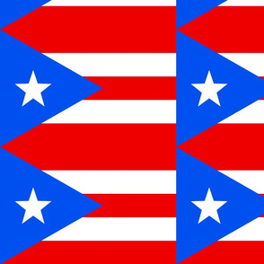 Large Puerto Rico Flags (Basic Repeat)