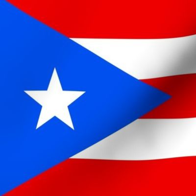 Large Puerto Rico Flags (Half-Drop Repeat)