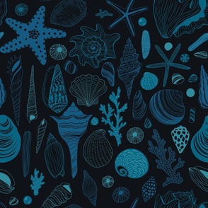 Sea shells on dark blue