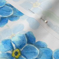 Forget me not watercolor flowers, blue and  white