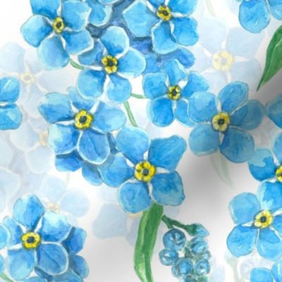 Forget me not watercolor flowers, blue and  white