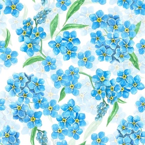 Forget me not watercolor flowers, blue and  white