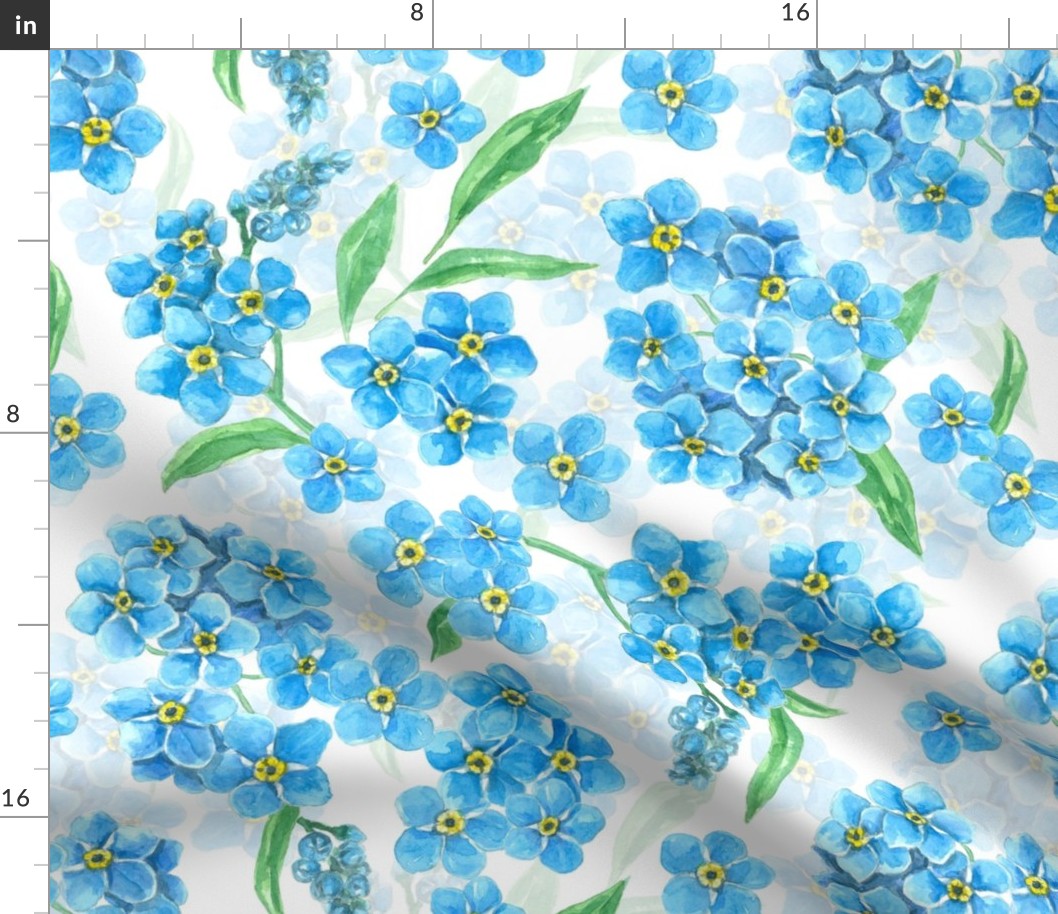 Forget me not watercolor flowers, blue and  white