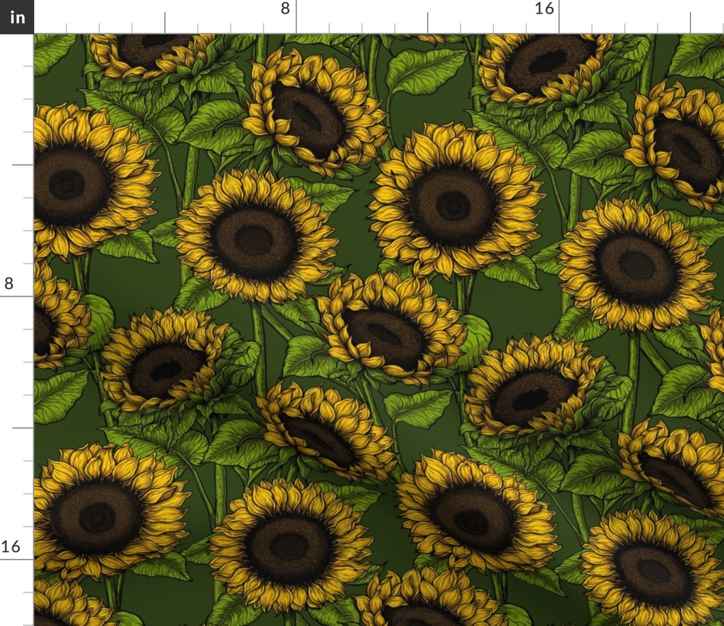 Sunflower field 3