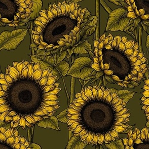 Sunflower field 4