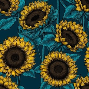 Sunflower field 6