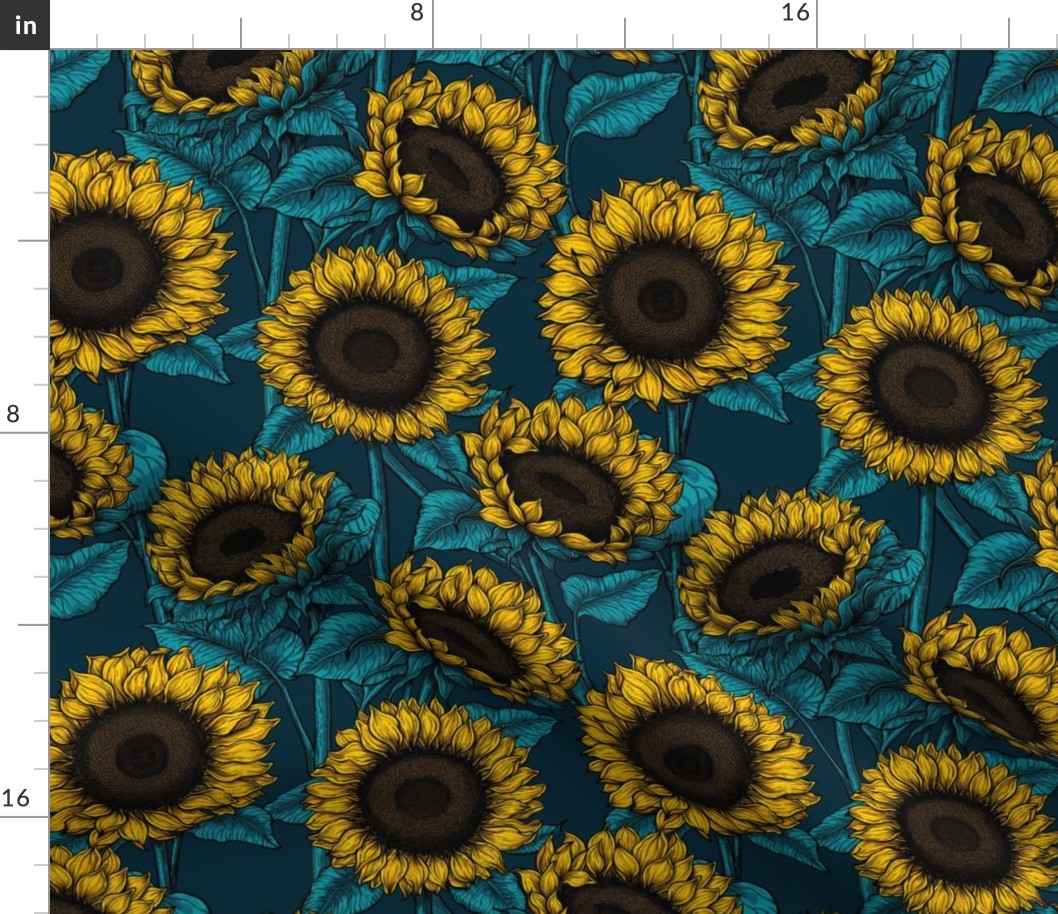 Sunflower field 6