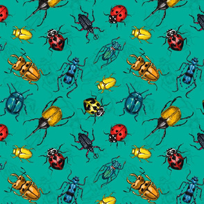 Beetles on turquoise