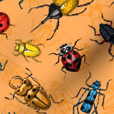 Beetles on orange