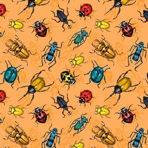 Beetles on orange