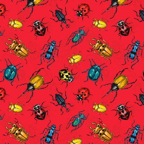 Beetles on red