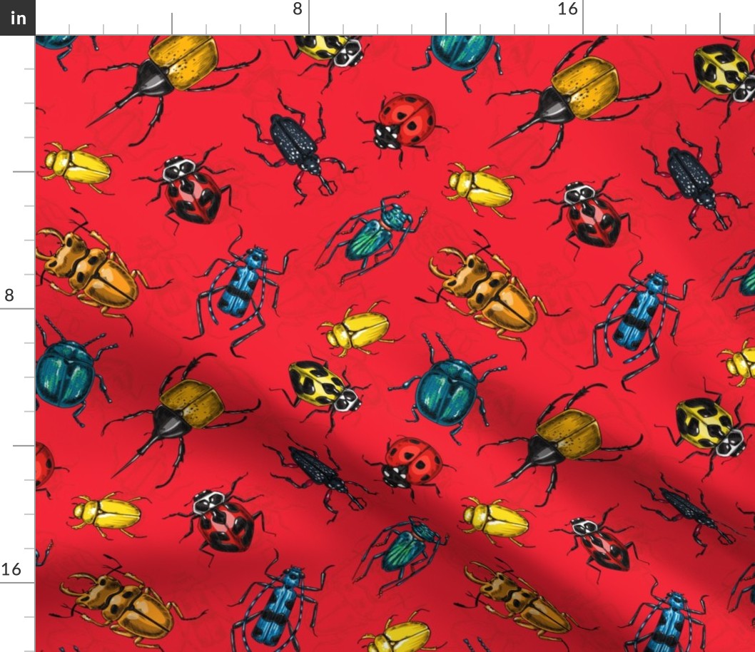 Beetles on red