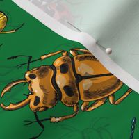 Beetles on green
