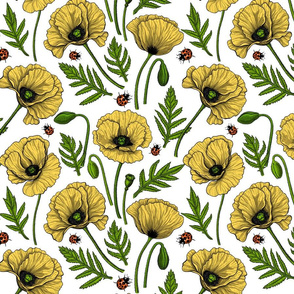 Yellow poppies and ladybugs on white