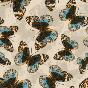 Blue Pansy Butterfly pattern on  off white