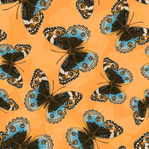 Blue Pansy Butterfly pattern on orange