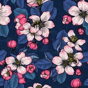 Apple blossom on dark blue