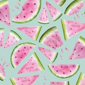 Watermelon Slices In Mint