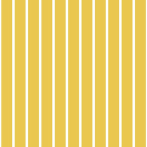 vertical hickory stripes on yellow large