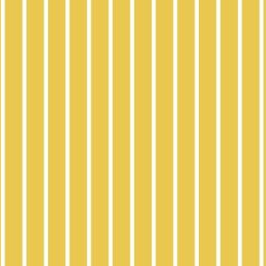 vertical hickory stripes on yellow small