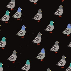 Pigeons of NYC (dark background)