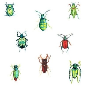  Beetle Pattern