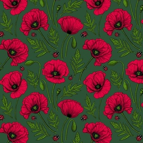 Red poppies on green