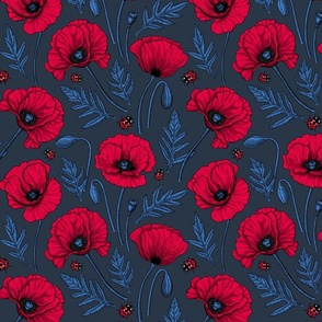 Red poppies on dark blue