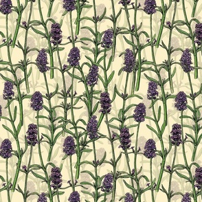 Lavender on cream