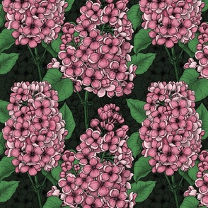 Pink lilac on dark green