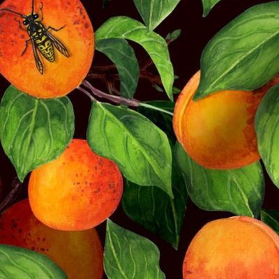 Apricot garden on dark background