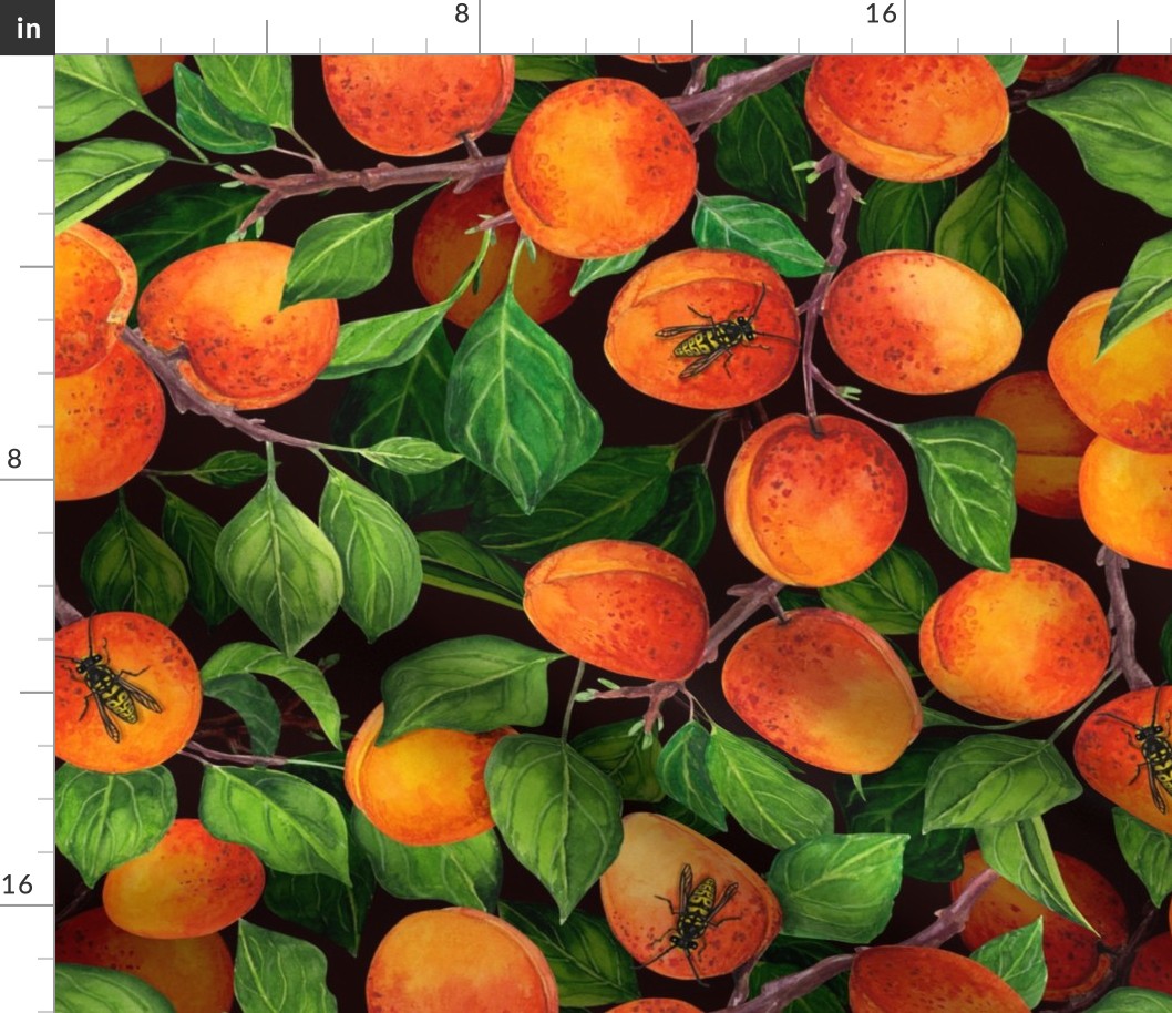 Apricot garden on dark background