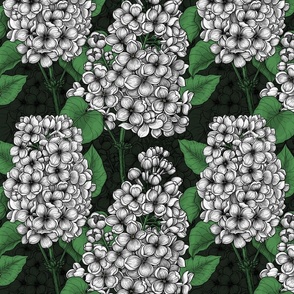 White lilac on dark green