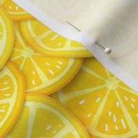 lemon slices l 01