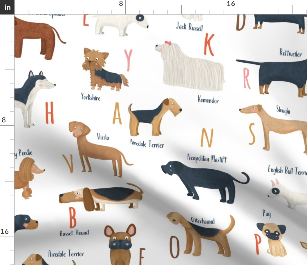 Big scale Dog breeds ABC