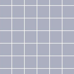 One Inch Gray and White Grid Paducaru