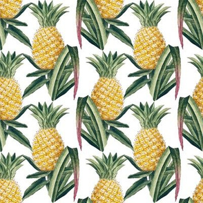 Vintage Hawaiian Pineapple Print in Yellow and Green on a White Ground