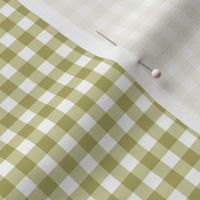 Gingham in Spring Green and White Paducaru