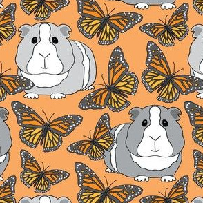 large guinea pigs and monarch butterflies on light orange