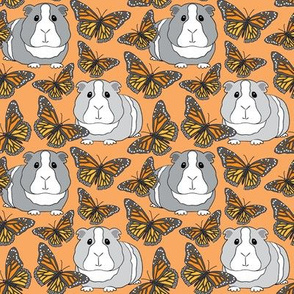 medium guinea pigs and monarch butterflies on light orange