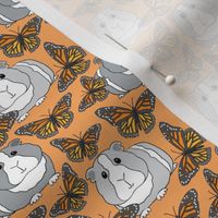 small guinea pigs and monarch butterflies on light orange