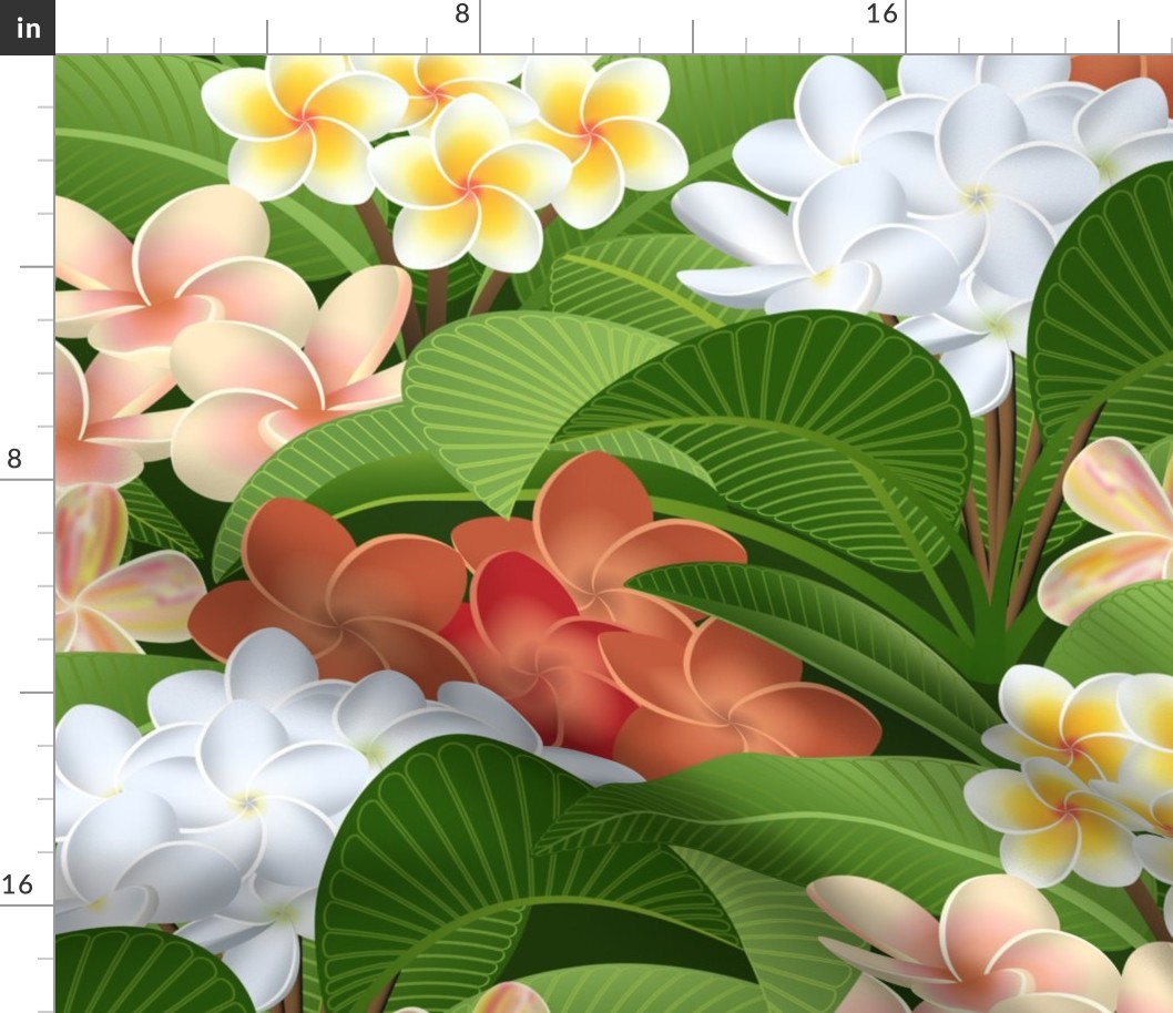 Tropical Hawaiian Plumeria Plants and Flowers // Rust, Terra Cotta, Peach, Green, Yellow, White