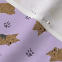 Tiny Norwich Terrier - purple