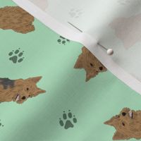 Tiny Norwich Terrier - green