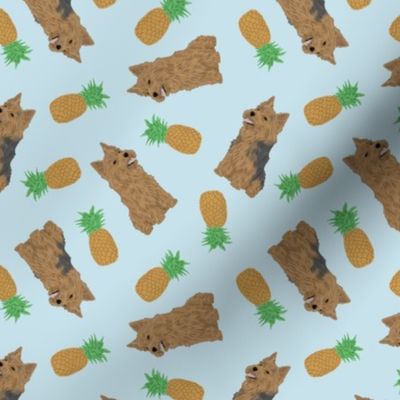 Tiny Norwich Terrier - pineapples