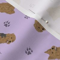 Tiny Terriers Norfolk & Norwich - purple